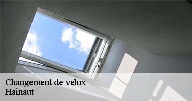 changement-de-velux