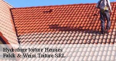 hydrofuge-toiture
