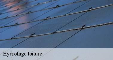 hydrofuge-toiture
