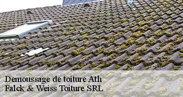 demoussage-de-toiture