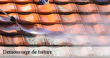 demoussage-de-toiture