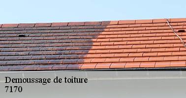demoussage-de-toiture