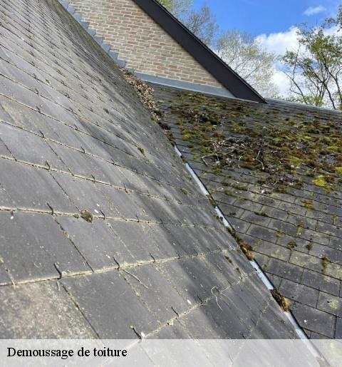 demoussage-de-toiture
