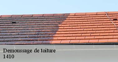 demoussage-de-toiture