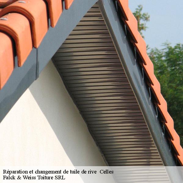 reparation-et-changement-de-tuile-de-rive