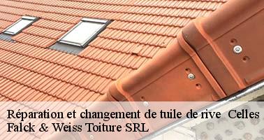 reparation-et-changement-de-tuile-de-rive