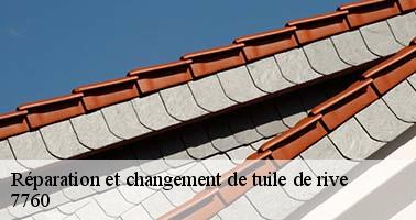 reparation-et-changement-de-tuile-de-rive