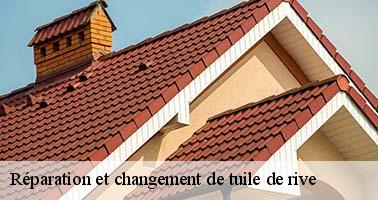reparation-et-changement-de-tuile-de-rive