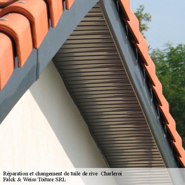 reparation-et-changement-de-tuile-de-rive