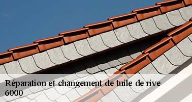 reparation-et-changement-de-tuile-de-rive