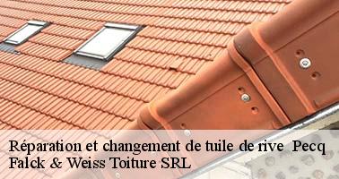reparation-et-changement-de-tuile-de-rive