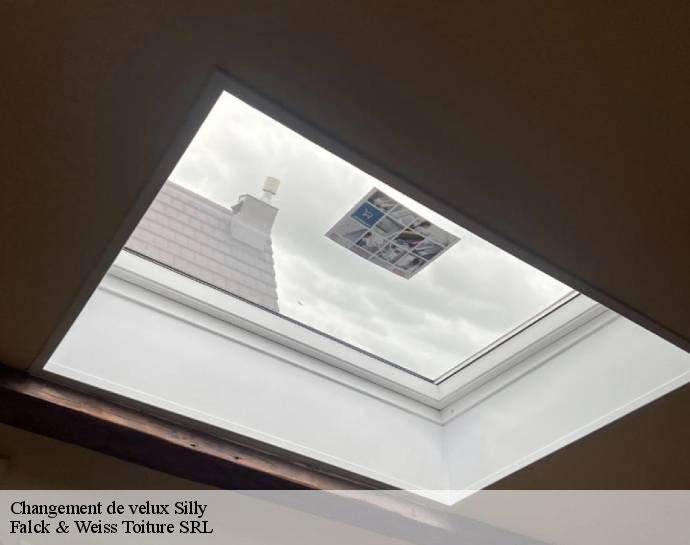 changement-de-velux