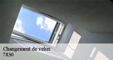 changement-de-velux