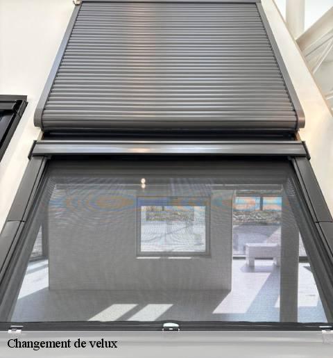changement-de-velux