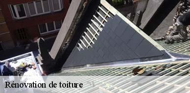 renovation-de-toiture