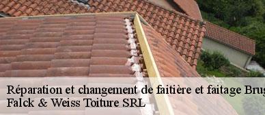 reparation-et-changement-de-faitiere-et-faitage