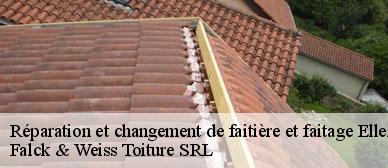 reparation-et-changement-de-faitiere-et-faitage