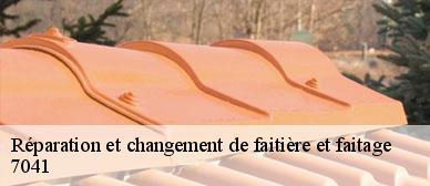 reparation-et-changement-de-faitiere-et-faitage
