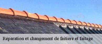 reparation-et-changement-de-faitiere-et-faitage