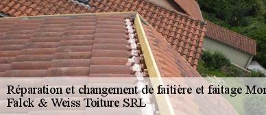 reparation-et-changement-de-faitiere-et-faitage
