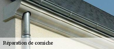 reparation-de-corniche