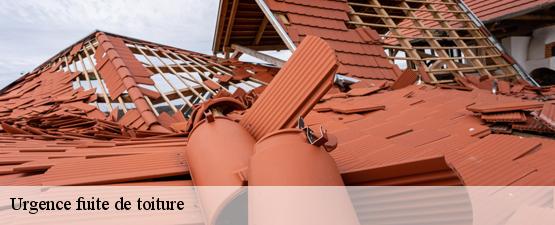 urgence-fuite-de-toiture
