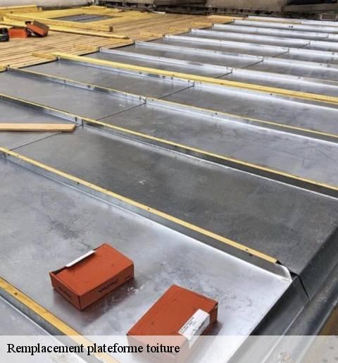 remplacement-plateforme-toiture